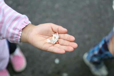 IMG_9747.jpg